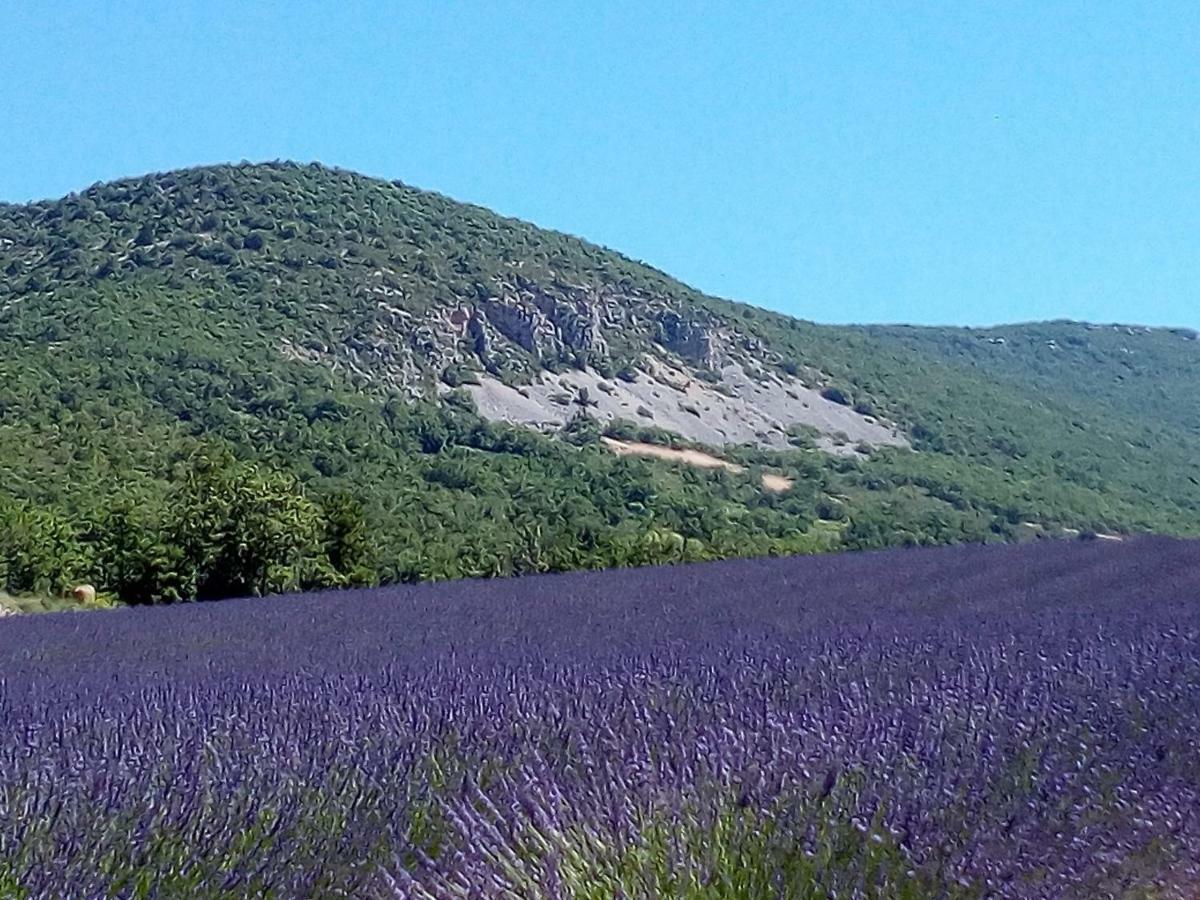 Gite La Fleur D Olivier Nyons Exterior photo